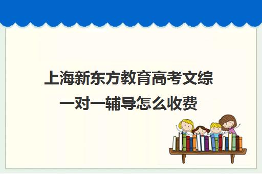 上海新东方教育高考文综一对一辅导怎么收费(高考一对一辅导机构哪个好)