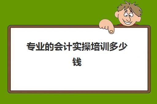 专业的会计实操培训多少钱(报会计培训班费用一般要多少)