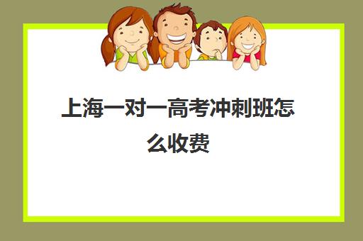 上海一对一高考冲刺班怎么收费(高考一对一辅导多少钱一小时)