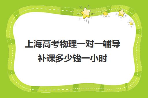 上海高考物理一对一辅导补课多少钱一小时(上海高考一对一价格)