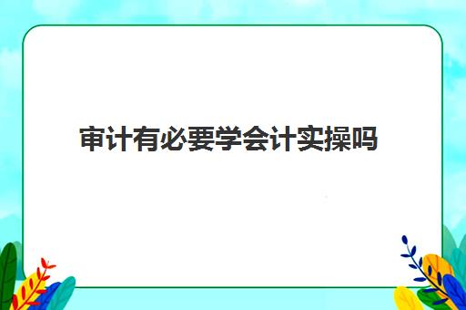 审计有必要学会计实操吗(审计和会计哪个难度大)