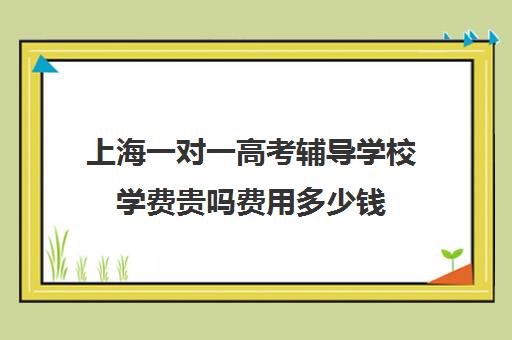 上海一对一高考辅导学校学费贵吗费用多少钱(精锐一对一收费标准)