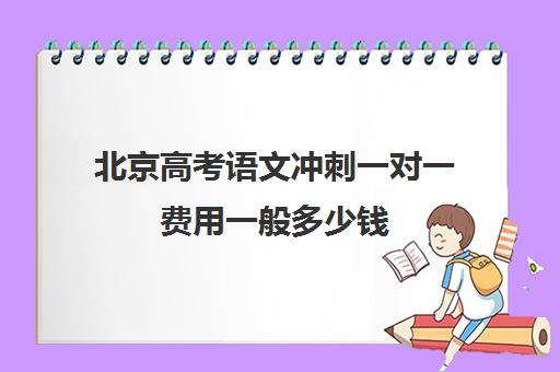 北京高考语文冲刺一对一费用一般多少钱(高考冲刺班一般收费)