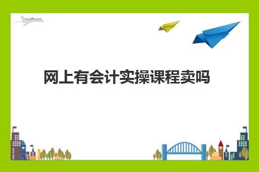 网上有会计实操课程卖吗(网上会计初级教学视频)