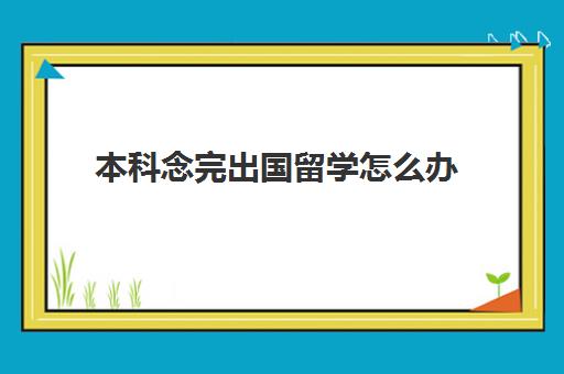 本科念完出国留学怎么办(大学怎么申请出国留学)