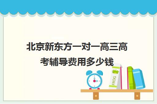 北京新东方一对一高三高考辅导费用多少钱（新东方一对一效果如何）