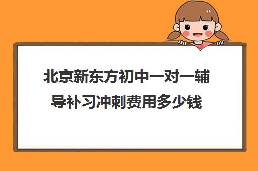 北京新东方初中一对一辅导补习冲刺费用多少钱