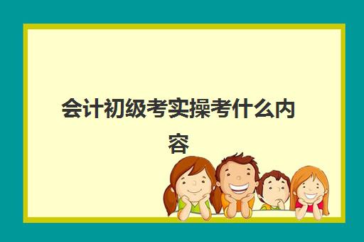 会计初级考实操考什么内容(会计初级要考什么)