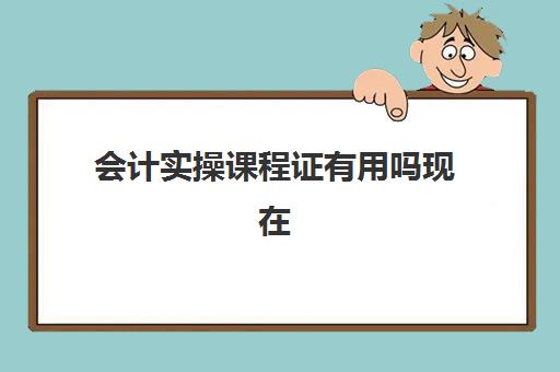 会计实操课程证有用吗现在(会计初级证自学好还是报培训班好)