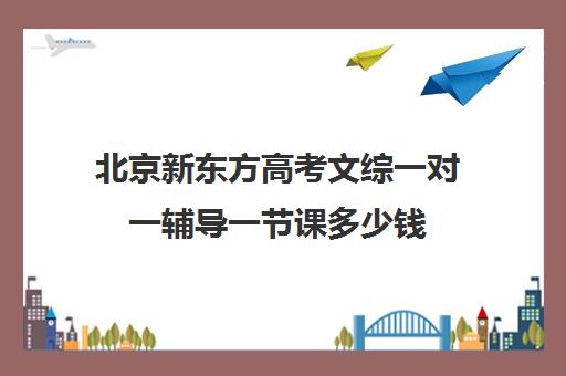 北京新东方高考文综一对一辅导一节课多少钱（新东方高考培训怎么样）