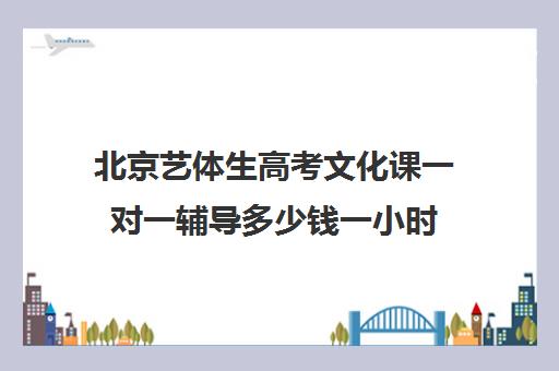 北京艺体生高考文化课一对一辅导多少钱一小时(一对一辅导多少钱一小时)