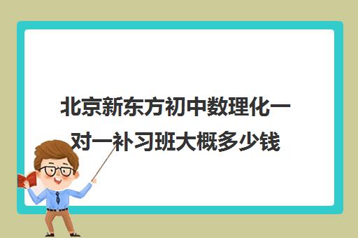 北京新东方初中数理化一对一补习班大概多少钱