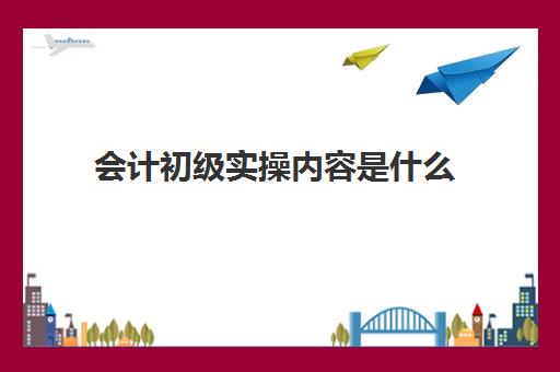 会计初级实操内容是什么(初级会计实务讲的是什么内容)