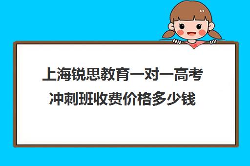 上海锐思教育一对一高考冲刺班收费价格多少钱（高考一对一辅导机构哪个好）