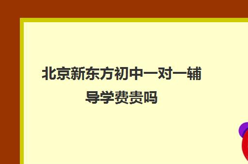 北京新东方初中一对一辅导学费贵吗（北京初中一对一辅导多少钱一小时）