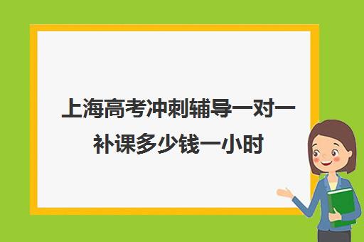 上海高考冲刺辅导一对一补课多少钱一小时(初中家教一对一多少钱一小时)