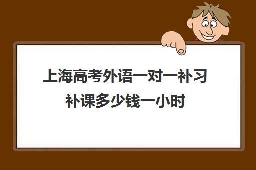 上海高考外语一对一补习补课多少钱一小时