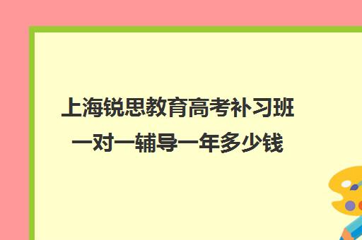 上海锐思教育高考补习班一对一辅导一年多少钱