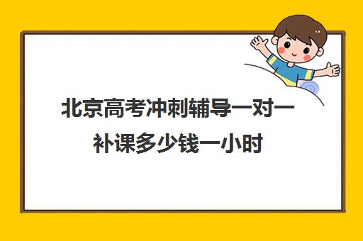 北京高考冲刺辅导一对一补课多少钱一小时(一对一补课收费标准)