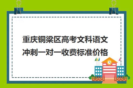 重庆铜梁区高考文科语文冲刺一对一收费标准价格一览(沙坪坝高中哪家补课机构好)