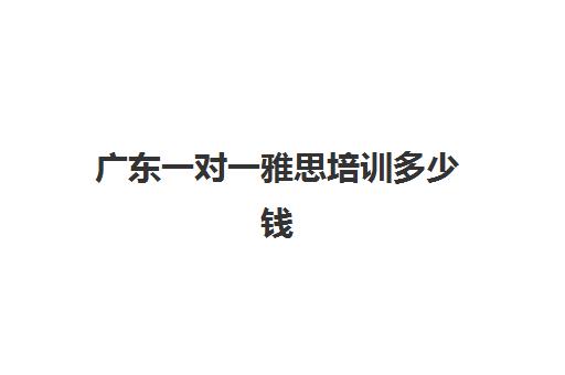 广东一对一雅思培训多少钱(雅思1对1培训一般收费多少钱)