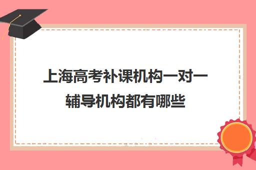 上海高考补课机构一对一辅导机构都有哪些(上海高考补课机构排名)