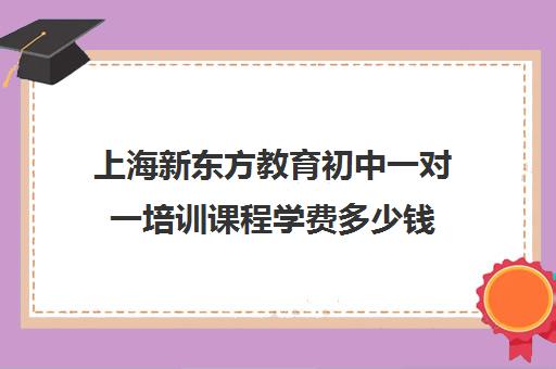 上海新东方教育初中一对一培训课程学费多少钱(上海初中一对一辅导价格)