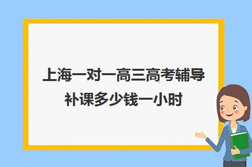 上海一对一高三高考辅导补课多少钱一小时(高三补课辅导班)