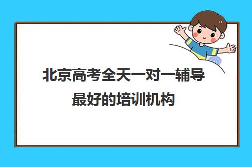 北京高考全天一对一辅导最好的培训机构(高考一对一辅导机构哪个好)