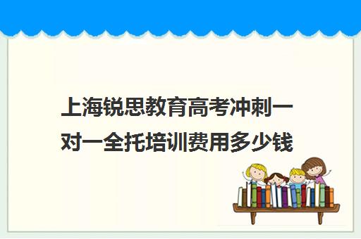 上海锐思教育高考冲刺一对一全托培训费用多少钱（sat一对一培训费用）