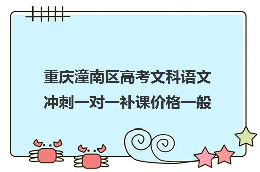 重庆潼南区高考文科语文冲刺一对一补课价格一般多少钱(补课)