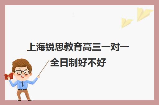 上海锐思教育高三一对一全日制好不好（上海精锐一对一收费标准）