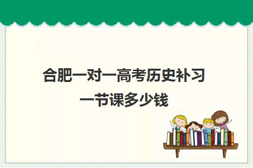 合肥一对一高考历史补习一节课多少钱