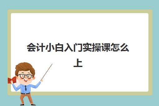 会计小白入门实操课怎么上(零基础会计入门课程)