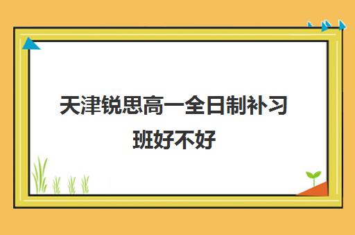 天津锐思高一全日制补习班好不好