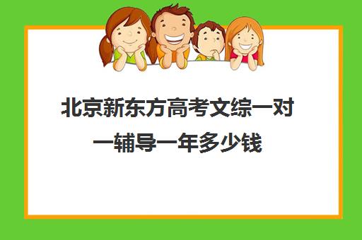 北京新东方高考文综一对一辅导一年多少钱（新东方高考培训机构官网）