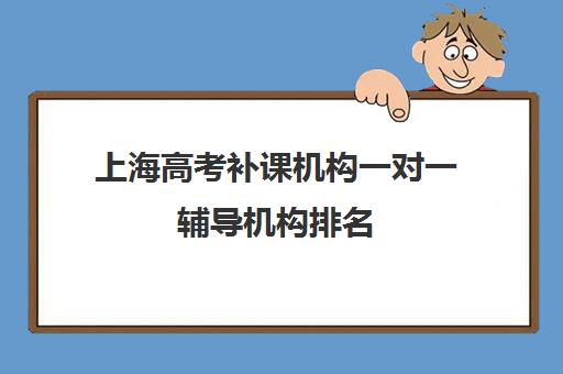 上海高考补课机构一对一辅导机构排名(一对一补课多少钱)