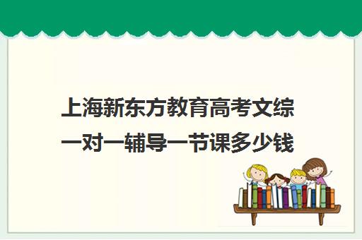 上海新东方教育高考文综一对一辅导一节课多少钱(高中去新东方补课好吗)