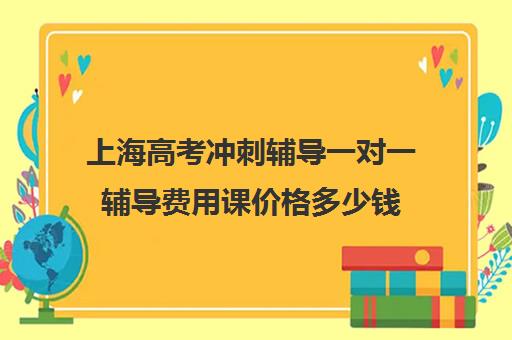 上海高考冲刺辅导一对一辅导费用课价格多少钱(新东方一对一收费价格表)