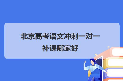 北京高考语文冲刺一对一补课哪家好(高考一对一辅导机构哪个好)