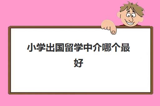 小学出国留学中介哪个最好(留学可以不找中介吗)