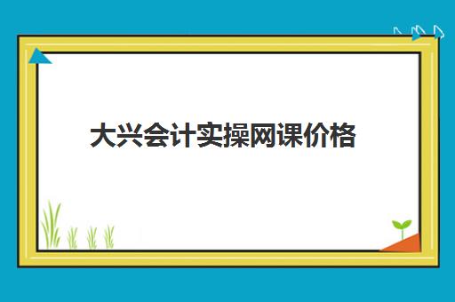 大兴会计实操网课价格(学会计网课好还是面授班好)