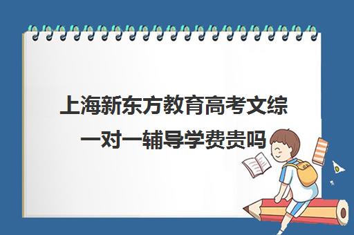 上海新东方教育高考文综一对一辅导学费贵吗(高中去新东方补课好吗)