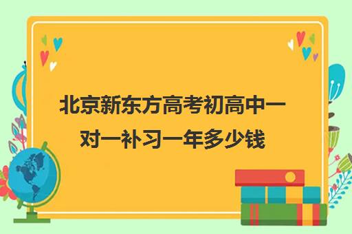 北京新东方高考初高中一对一补习一年多少钱