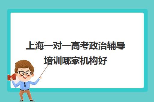 上海一对一高考政治辅导培训哪家机构好(一对一在线辅导)