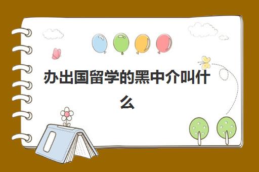 办出国留学的黑中介叫什么(留学可以不找中介吗)