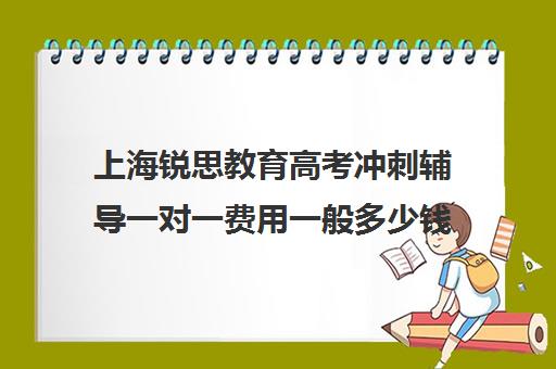 上海锐思教育高考冲刺辅导一对一费用一般多少钱（上海精锐一对一收费标准）