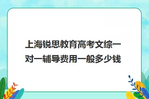 上海锐思教育高考文综一对一辅导费用一般多少钱（锐思教育官网）