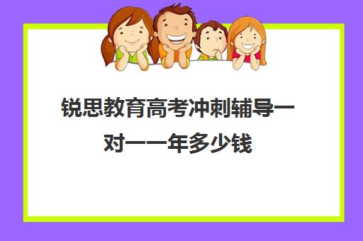 锐思教育高考冲刺辅导一对一一年多少钱（高考冲刺班一般收费）