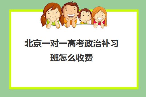 北京一对一高考政治补习班怎么收费